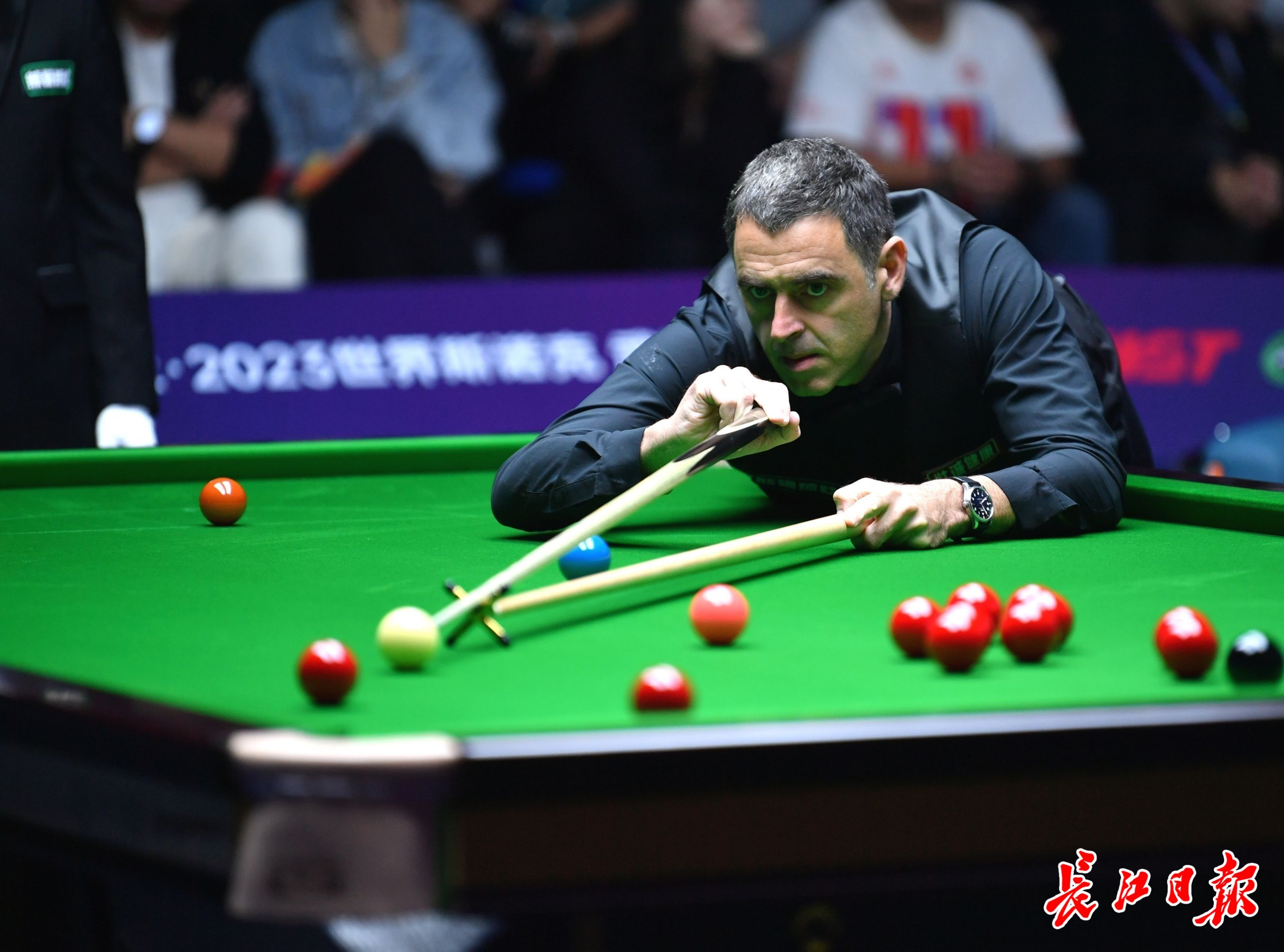 能否重返巅 能否重返巅