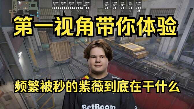 C体系后